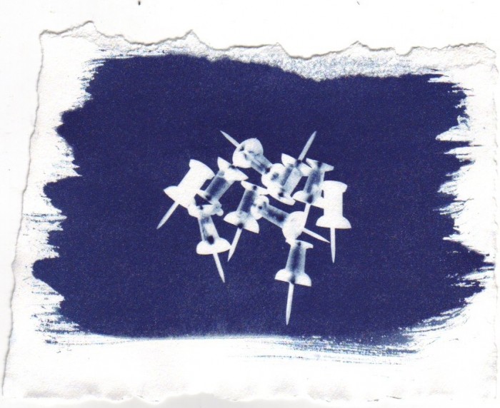 Cyanotype Workshop (Blueprints, Cyanotypes and Ferro Prussiate processes)