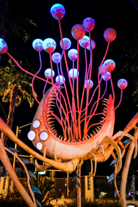 Trip to Vegas, Jan 28, 2020