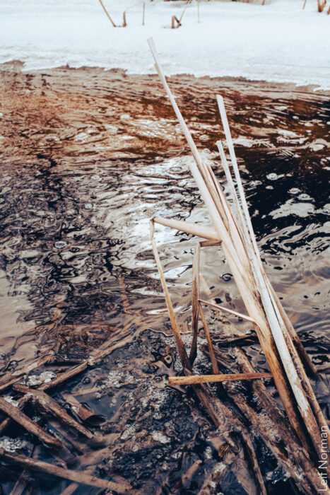 Bruce Park Spring Thaw : April 3, 2026